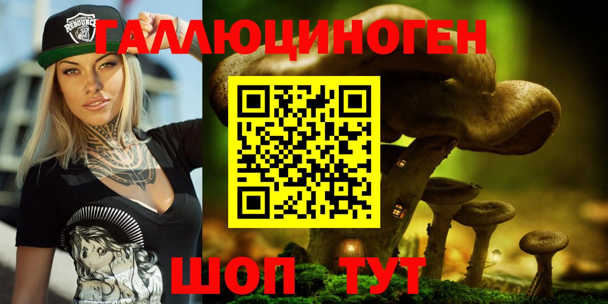 Новочеркасск  Псилоцибиновые грибы Psilocybe  Вход с VPN 