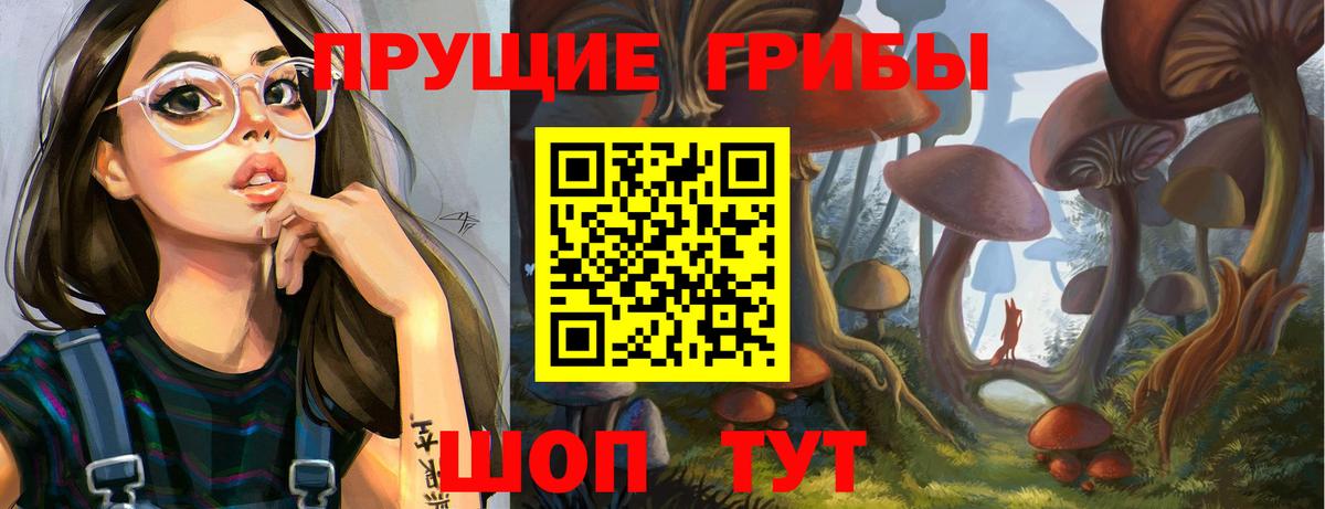 Псилоцибиновые грибы Psilocybe Новочеркасск